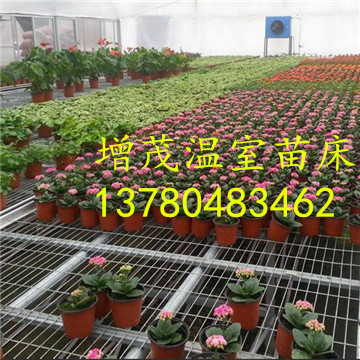 溫室<a href='/' target='_blank'><a href='http://www.hengleeemb.com/miaochuangsheshi/203.html'target='_blank'>花架網(wǎng)</a></a>廠家